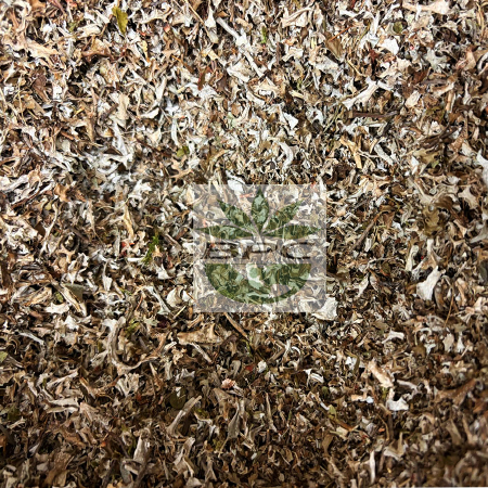 ICELANDIC MOSS CUT & SIFTED